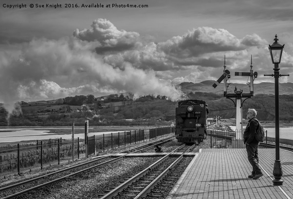 Last train at Porthmadog Picture Board by Sue Knight