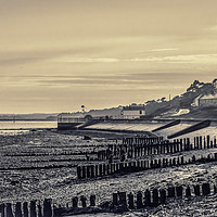 Buy canvas prints of A view of  Lepe in sepia  by Sue Knight