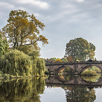 Buy canvas prints of Shrewsbury reflections by Sue Knight