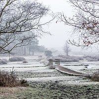 Buy canvas prints of A frosty New Forest morning  by Sue Knight