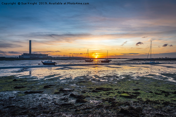 Calshot sunset Picture Board by Sue Knight