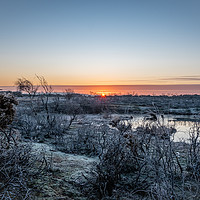 Buy canvas prints of Frosty New Forest Sunrise by Sue Knight