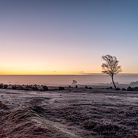 Buy canvas prints of Ipley Sunrise, New Forest by Sue Knight