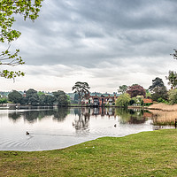 Buy canvas prints of Beaulieu Mill Pond, New Forest by Sue Knight