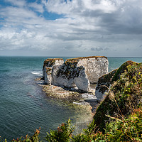 Buy canvas prints of Old Harry's Rocks, Dorset  by Sue Knight