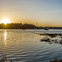 Buy canvas prints of A view across Beaulieu River by Sue Knight
