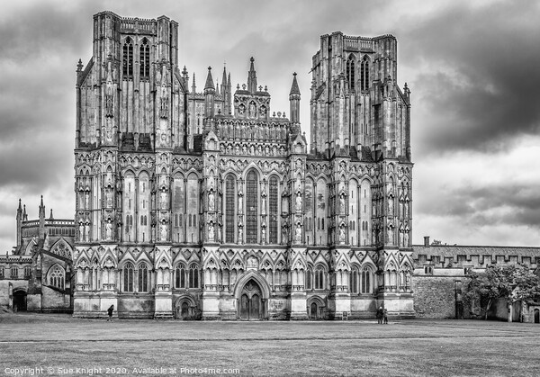 Wells Cathedral, Somerset Picture Board by Sue Knight