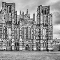 Buy canvas prints of Wells Cathedral, Somerset by Sue Knight