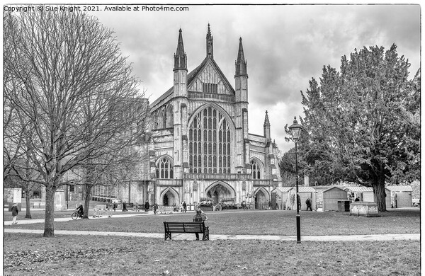 Winchester Cathedral in Black and White Picture Board by Sue Knight