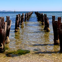 Buy canvas prints of Remains of the old wooden landing stage on the bea by laurence hyde