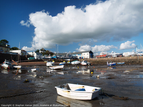 Tides out Paignton Harbour Picture Board by Stephen Hamer