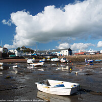Buy canvas prints of Tides out Paignton Harbour by Stephen Hamer