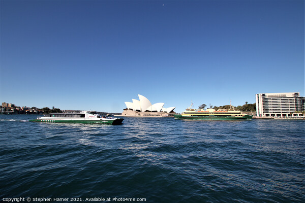 Sydney Harbour Picture Board by Stephen Hamer