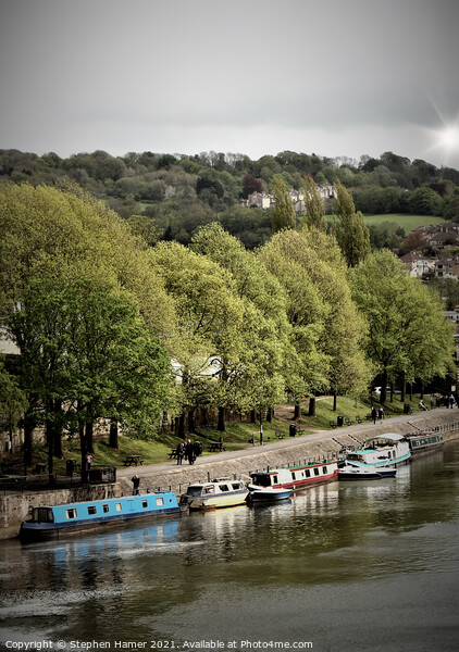 House Boats River Avon Picture Board by Stephen Hamer