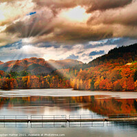 Buy canvas prints of Perthshire Amber by Stephen Hamer