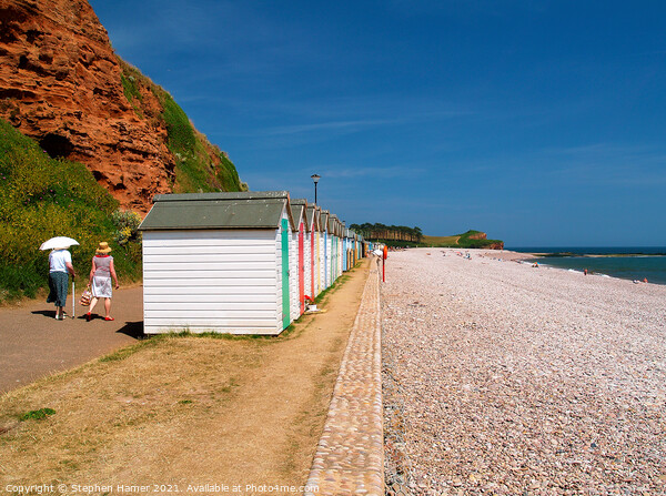 Budleigh Beach Huts Picture Board by Stephen Hamer