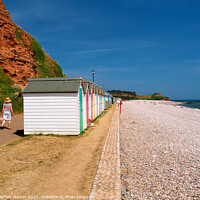 Buy canvas prints of Budleigh Beach Huts by Stephen Hamer