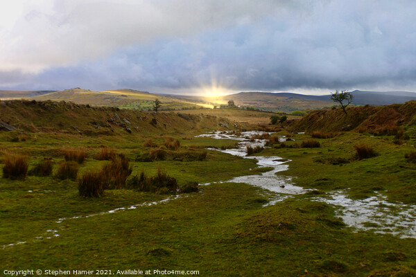 Delight of Dartmoor Picture Board by Stephen Hamer