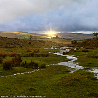 Buy canvas prints of Delight of Dartmoor by Stephen Hamer