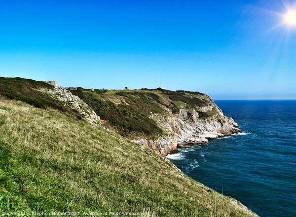 Berry Head Brixham Picture Board by Stephen Hamer