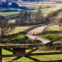 Buy canvas prints of Dartmoor View by Stephen Hamer