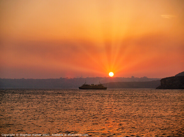 Manly (Sydney) Ferry Sunset Picture Board by Stephen Hamer