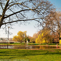 Buy canvas prints of Park Pond by Stephen Hamer