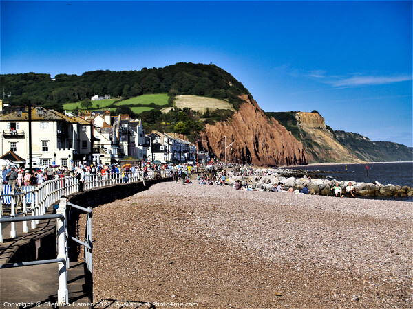 Sunny Sidmouth Picture Board by Stephen Hamer