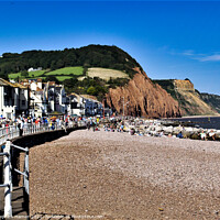 Buy canvas prints of Sunny Sidmouth by Stephen Hamer