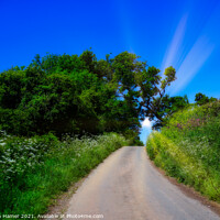 Buy canvas prints of English Country Lane by Stephen Hamer