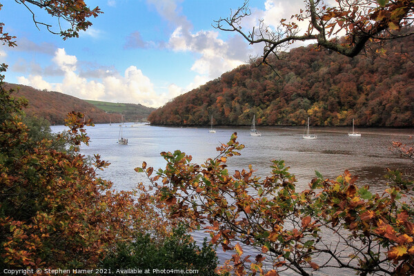 River Dart in Autumn Picture Board by Stephen Hamer
