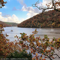 Buy canvas prints of River Dart in Autumn by Stephen Hamer