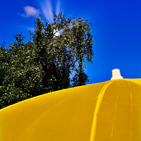 Buy canvas prints of Yellow Brolly by Stephen Hamer