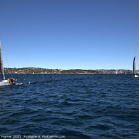 Buy canvas prints of Sailing in Sydney Harbour by Stephen Hamer