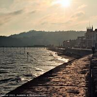 Buy canvas prints of Teignmouth in the Golden Hour by Stephen Hamer