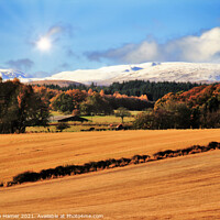 Buy canvas prints of Lowlands meet the Highlands Perthshire by Stephen Hamer