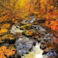 Buy canvas prints of Aberfeldy Autumn by Stephen Hamer