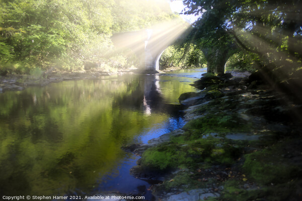 Sunrays over the River Dart Picture Board by Stephen Hamer