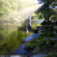 Buy canvas prints of Sunrays over the River Dart by Stephen Hamer