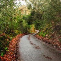 Buy canvas prints of Autumn English Country Lane by Stephen Hamer