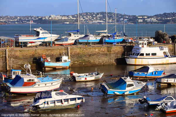 Paignton Harbour Torbay Picture Board by Stephen Hamer