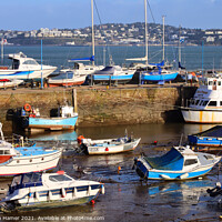 Buy canvas prints of Paignton Harbour Torbay by Stephen Hamer
