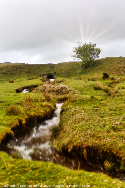 Dartmoor Leat Picture Board by Stephen Hamer
