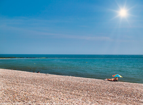 Summer Sun on Budleigh Salterton Beach Picture Board by Stephen Hamer