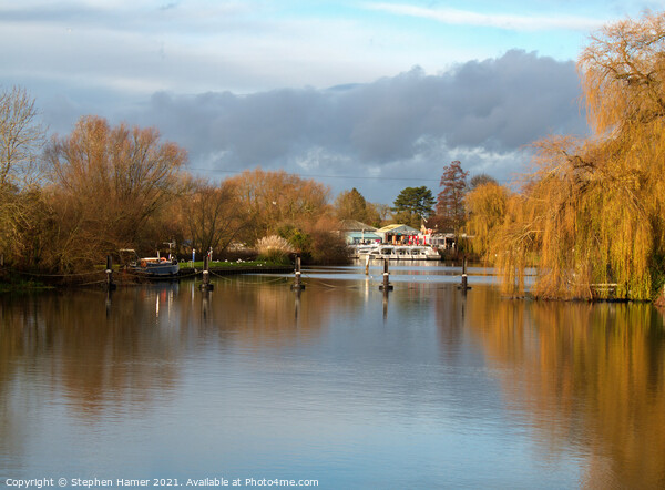 The Thames at Benson Lock Picture Board by Stephen Hamer