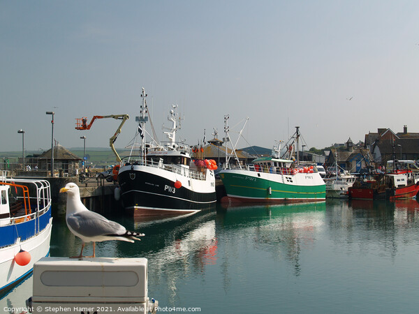 Padstow Trawlers Picture Board by Stephen Hamer