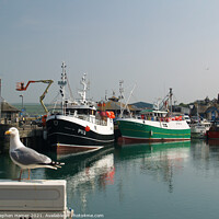 Buy canvas prints of Padstow Trawlers by Stephen Hamer