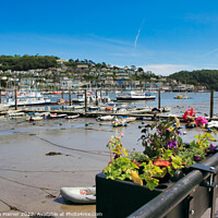 Buy canvas prints of Dartmouth and Kingswear by Stephen Hamer