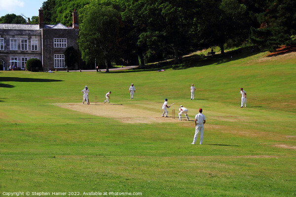 Cricket at Cockington Picture Board by Stephen Hamer
