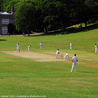 Buy canvas prints of Cricket at Cockington by Stephen Hamer